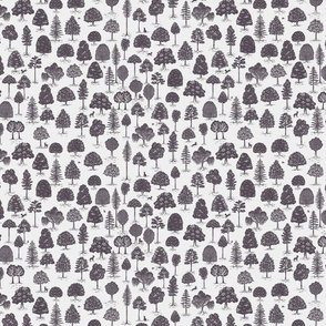 Woodland Adventure Small Print