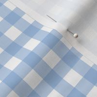 Summer Blue Gingham