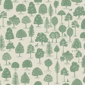 Woodland Adventures Green Small Print 