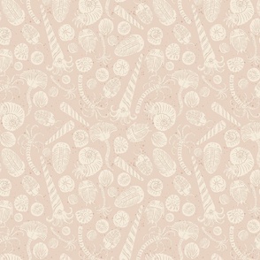 Fossils_Pink