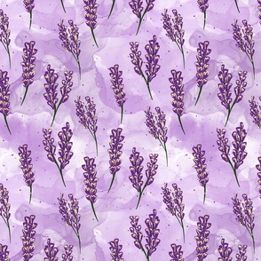 French lavender fields