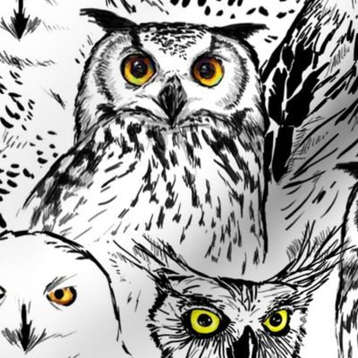 owls ink drawing