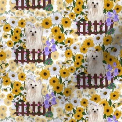 Daisy Yellows Puppy - abt 2 1/2"