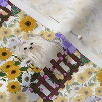 Daisy Yellows Puppy - abt 2 1/2"