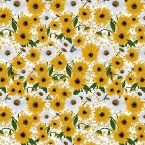 Daisy Yellows