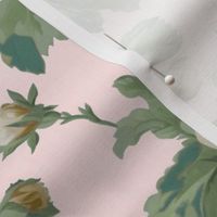 Regency Rose on Pale Pink