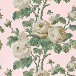 Regency Rose on Pale Pink