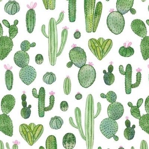 Watercolour Cacti