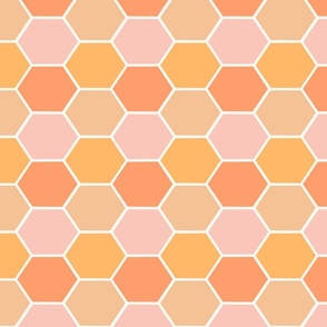 Honeycomb - Orange and Pink 