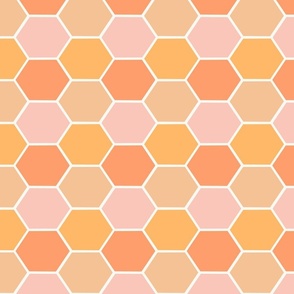 LARGE Modern Geometric Honeycomb - Orange and Pink 