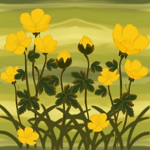 Buttercup Flowers (Water color)