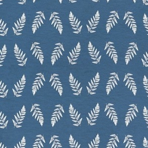 Fern cyanotype pattern //s