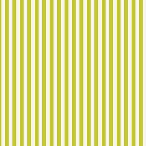 Cabana stripe - Cyber Lime Green  evening primrose and soft white - extra small lime candy stripe