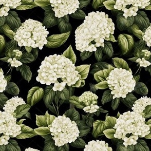 White Hydrangeas 