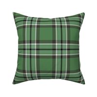Town Square Plaid in Sage Greens