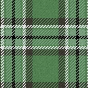 Town Square Plaid in Sage Greens