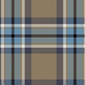 Town Square Plaid in Beige and Sky Blue