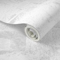 all artistic abstract texture plaster wall white smoke linen