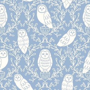 Barn Owls on Light Blue