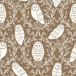 Barn Owls on Brown