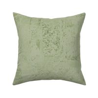 all artistic abstract texture plaster wall artichoke light  green