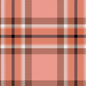 Town Square Plaid in Coral Pinks and Brown