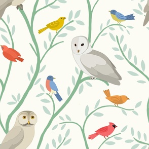 OWLS ON BRANCHES WITH SONGBIRDS