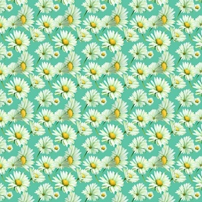 Floral White Daisies