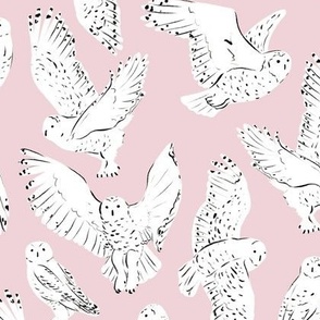 Snow Owl Pink