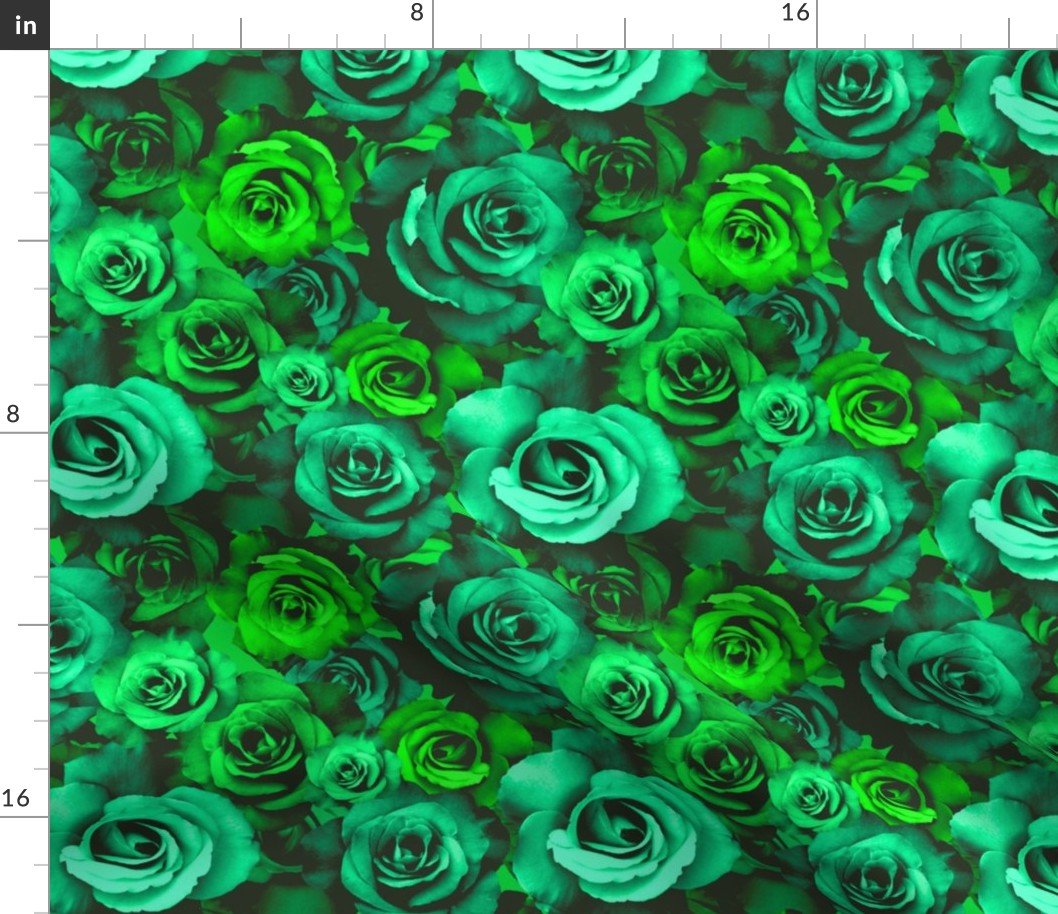 A Bed of Bright Green Roses  