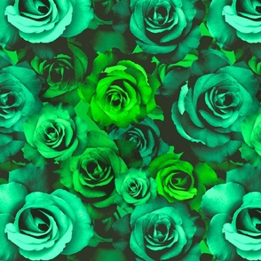 A Bed of Bright Green Roses (large scale)  