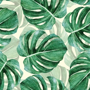 Extra Large Non-Directional Teal Green Monstera Leaves
