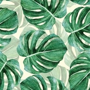 Medium Teal Green Watercolor Monstera Leaves 6x6 in Repeat