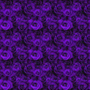 A Bed of Purple Roses (small scale) 