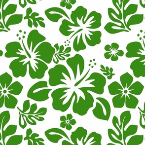 FRESH GREEN HAWAIIAN FLOWERS ON WHITE- SMALL SIZE