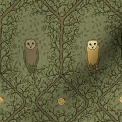 Barn Owls in Trees 