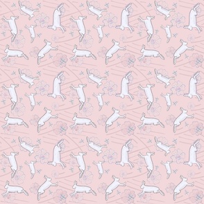 Hare Flight, pink