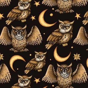 Vintage magic owl with moon and stars on black