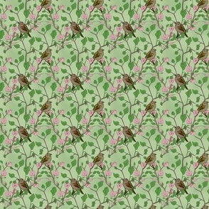 Sparrows in Green 