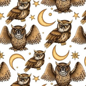 Vintage magic owl with moon and stars on white