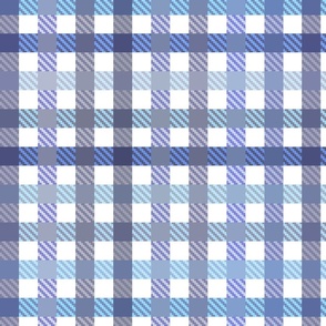 Playful Plaid from blue to cyan and gray on white  - medium scale