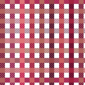  Playful Plaid shades of red on white  - medium scale