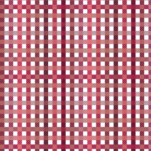  Playful Plaid shades of red on white  - small scale