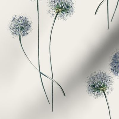 Dandelion flowers with long stems botanical seamless pattern