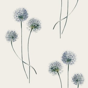 Dandelion flowers with long stems botanical seamless pattern