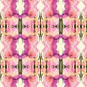 Pink Iris Deep Tone