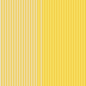 bands-o-stripes_yellow