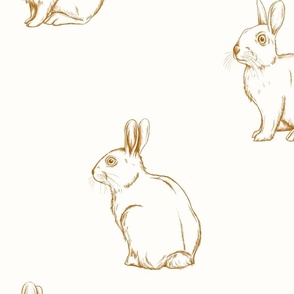 Bunny line drawing - LARGE SCALE