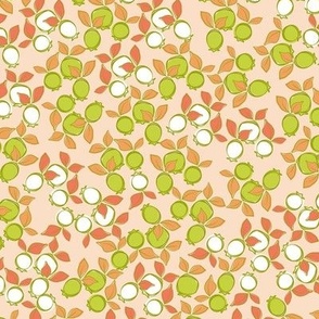 tropical-berries-peach-background-small size