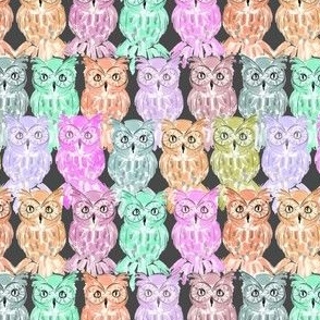 owls night